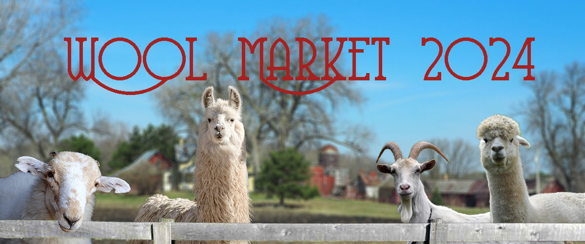 2024 Estes Park Wool Market